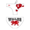 BAÑADOR CAB WATERPOLO WALES DRAGON